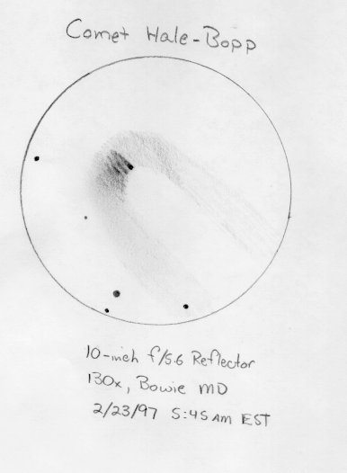 A drawing of comet Hale-Bopp